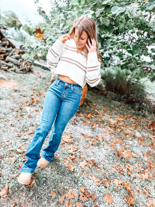 Stripe Crop Collar Sweater Top