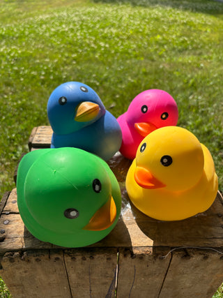 In Stock! The big DUCK Squish