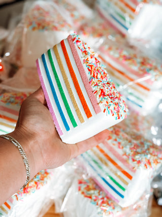 INSTOCK Big ol’ Piece of Cake Squishy