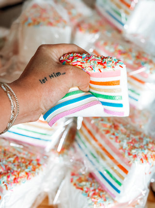 INSTOCK Big ol’ Piece of Cake Squishy