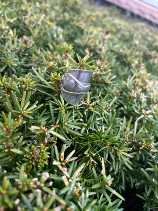 Qs Silverwear Saddle Rings